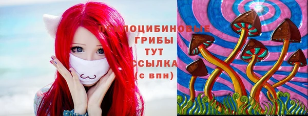 прущая мука Михайлов